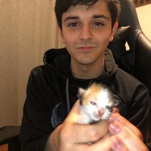 Meet your Posher, Perry